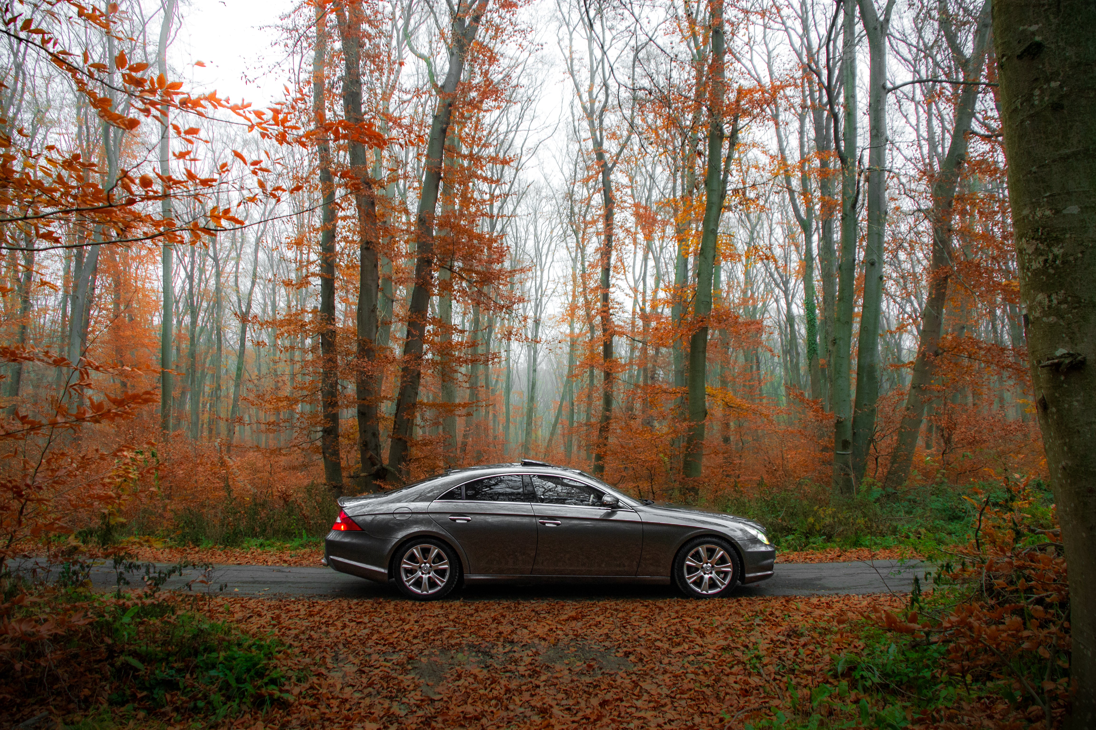 Фотосесия с твоя автомобил – Шумен