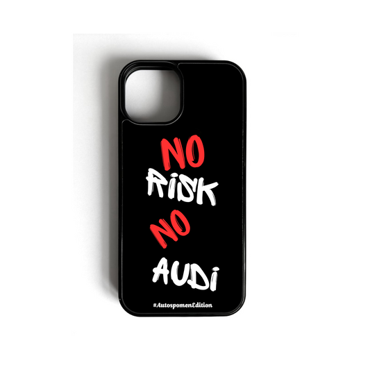 Кейс "No Risk No Audi"